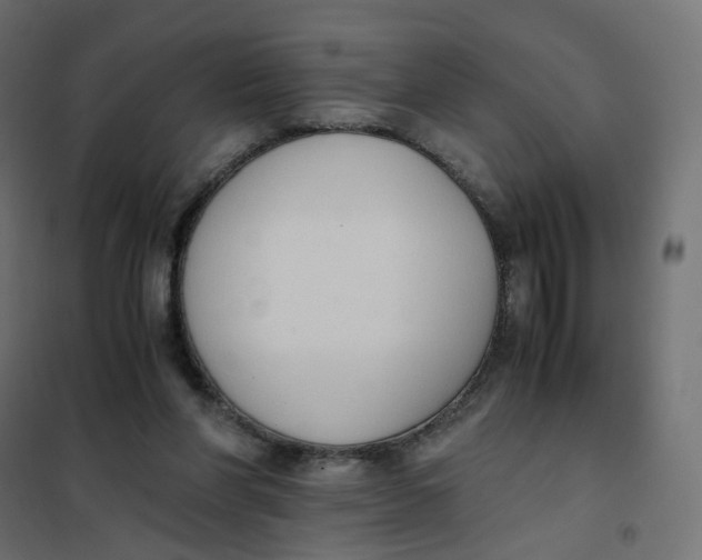 X0000102030206200808081820