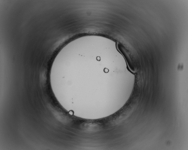 X0000102030208200808081819