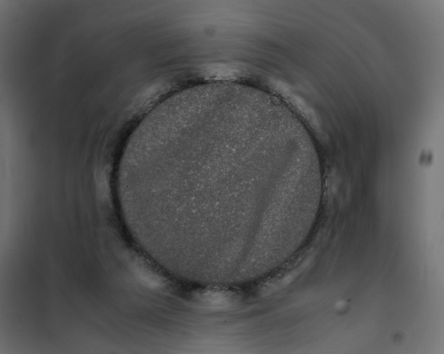 X0000102030209200808081819