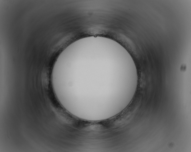 X0000102030210200808081819