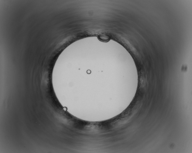 X0000102030211200808081819