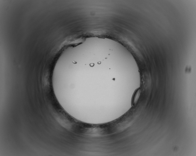 X0000102030212200808081819