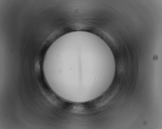 X0000102030214200808081819