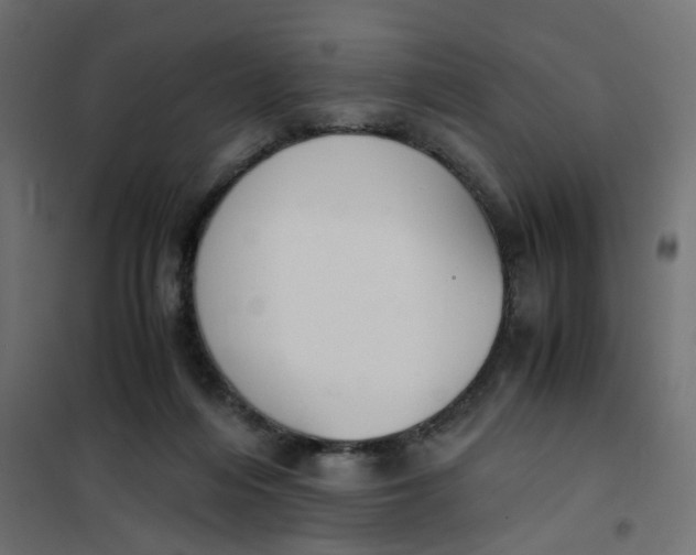 X0000102030216200808081819