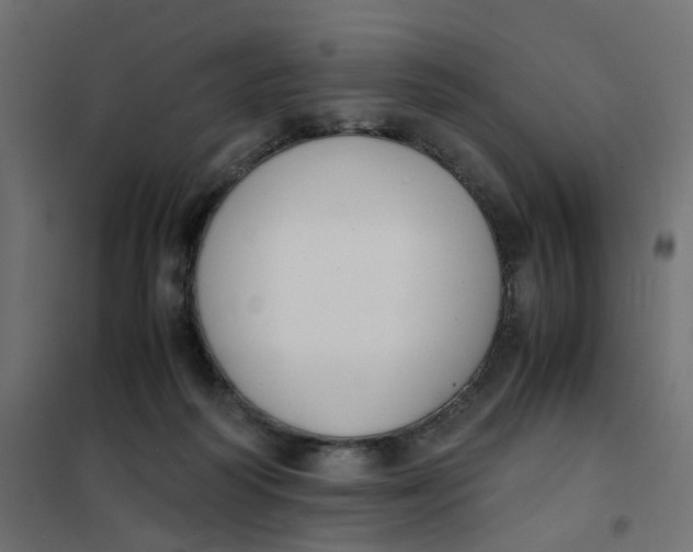 X0000102030218200808081819