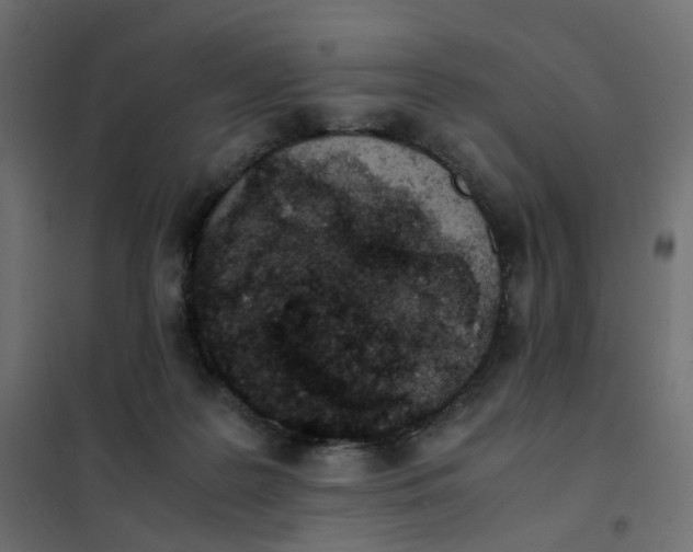 X0000102030219200808081819