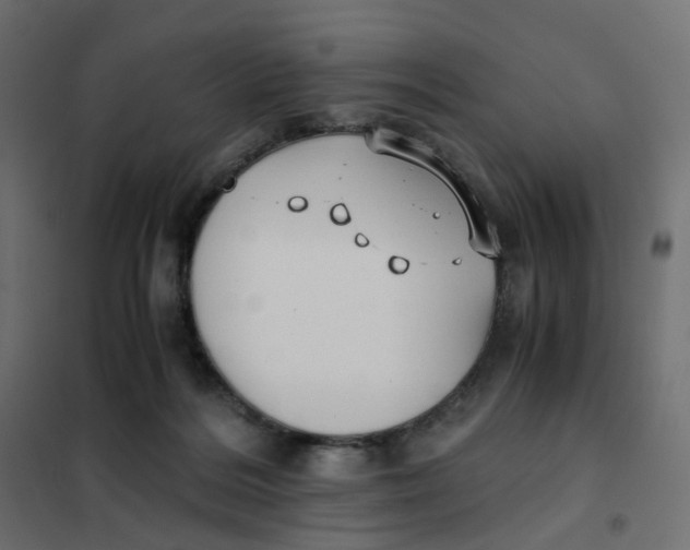 X0000102030220200808081819