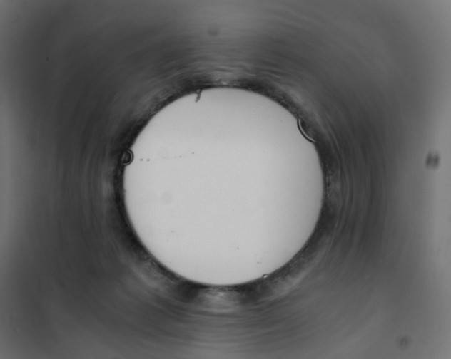 X0000102030221200808081819