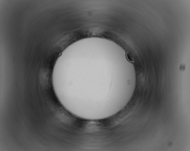 X0000102030222200808081819