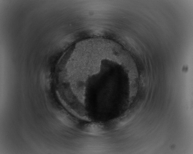 X0000102030223200808081819