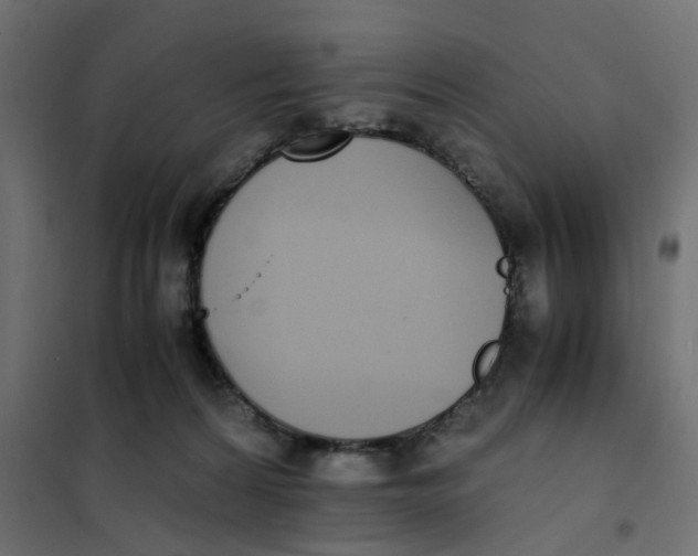 X0000102030224200808081819