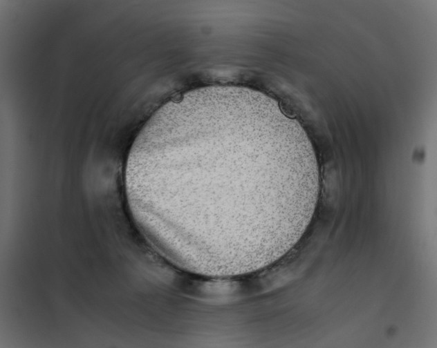 X0000102030225200808081819