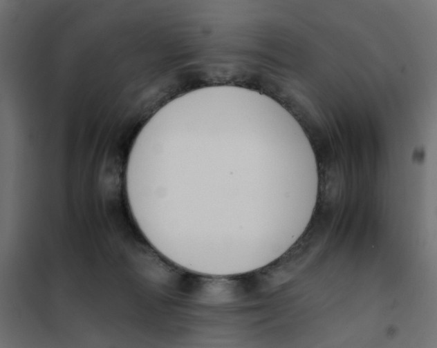 X0000102030226200808081819