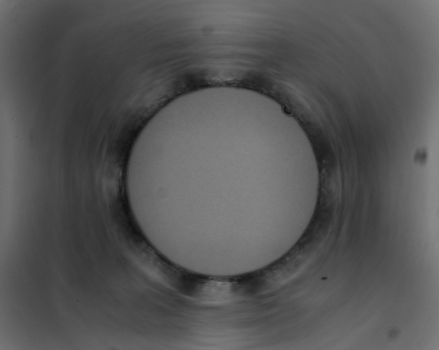 X0000102030227200808081819