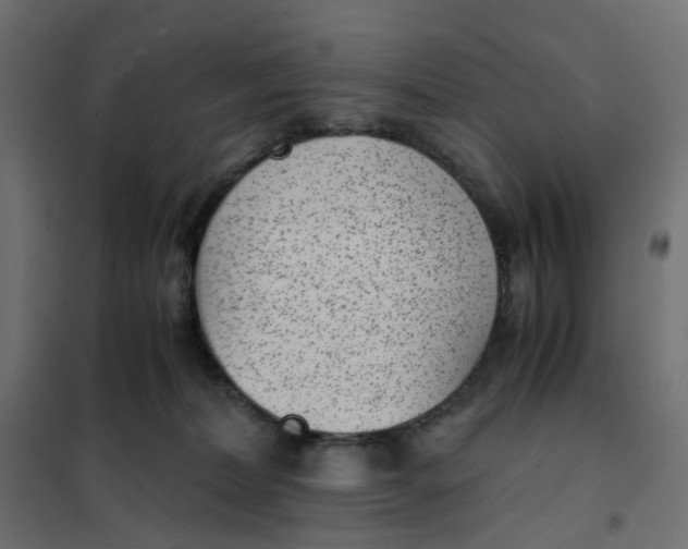 X0000102030228200808081819