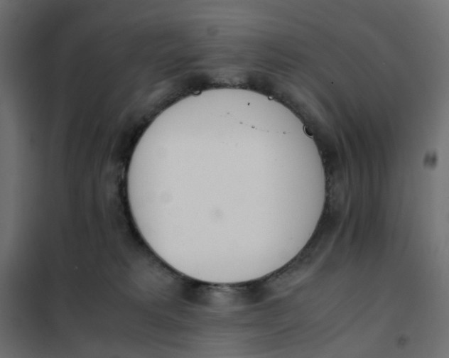 X0000102030229200808081819