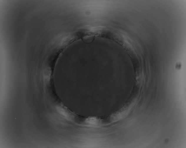 X0000102030231200808081819