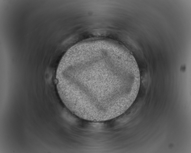 X0000102030233200808081819