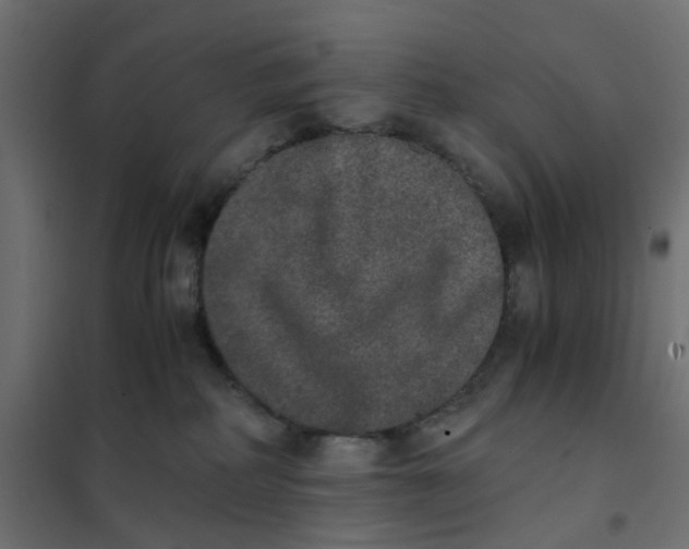 X0000102030234200808081819