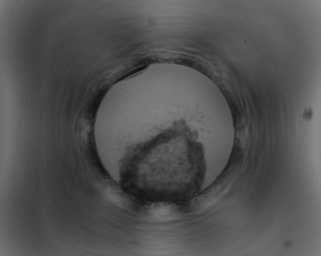 X0000102030235200808081819