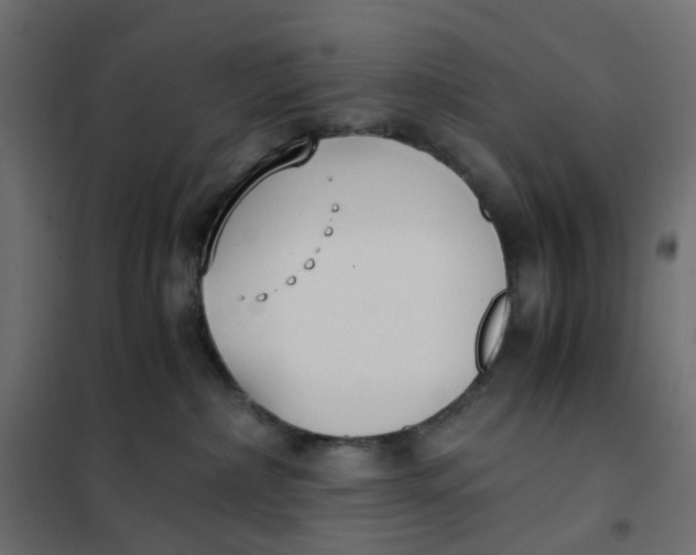 X0000102030236200808081819