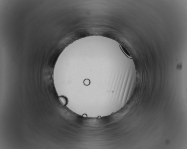 X0000102030237200808081819