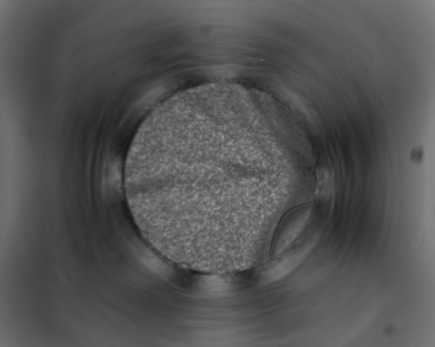 X0000102030238200808081819