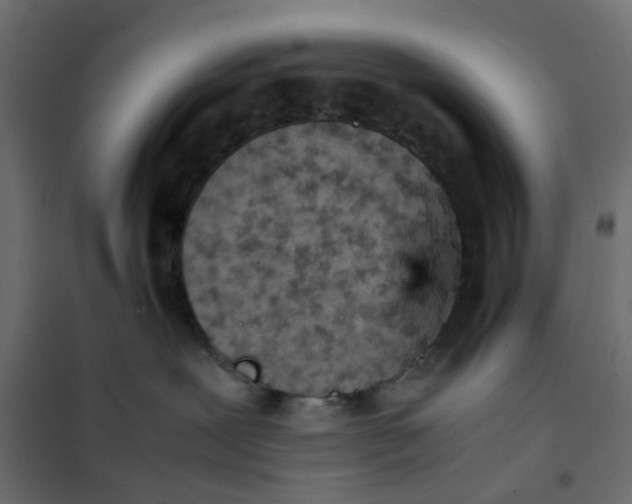 X0000102030239200808081819