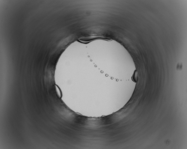 X0000102030240200808081819