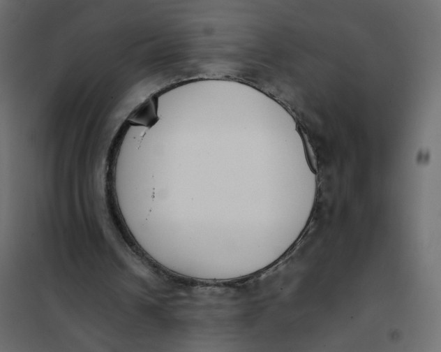 X0000102030242200808081818