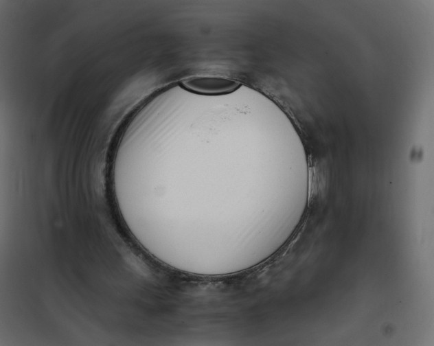 X0000102030243200808081818