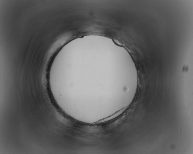 X0000102030245200808081818