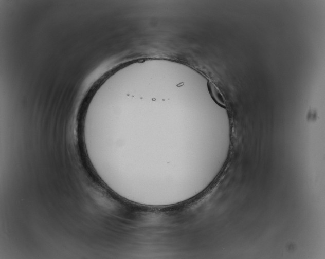 X0000102030246200808081818