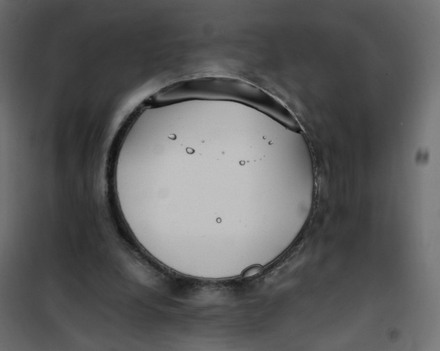 X0000102030248200808081818