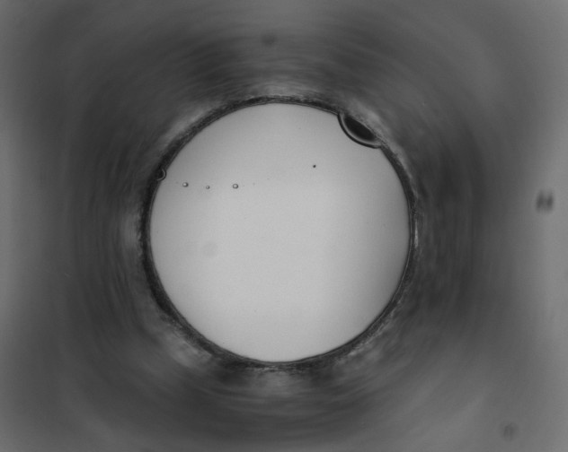 X0000102030249200808081818