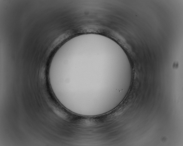 X0000102030250200808081819