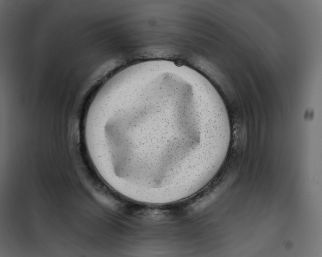 X0000102030254200808081819