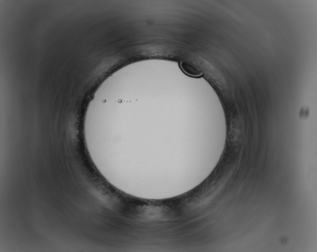 X0000102030255200808081819