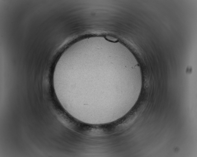 X0000102030256200808081819