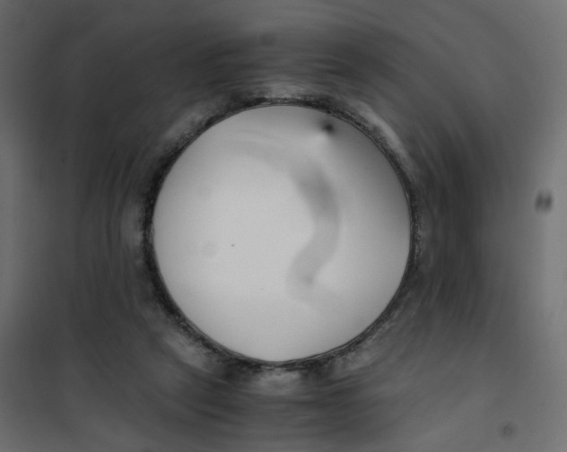 X0000102030257200808081819