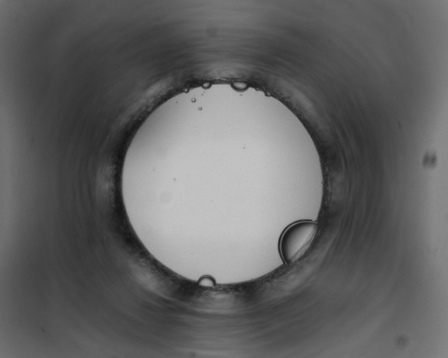 X0000102030260200808081819