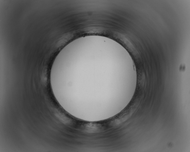 X0000102030261200808081819