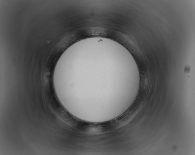 X0000102030263200808081819