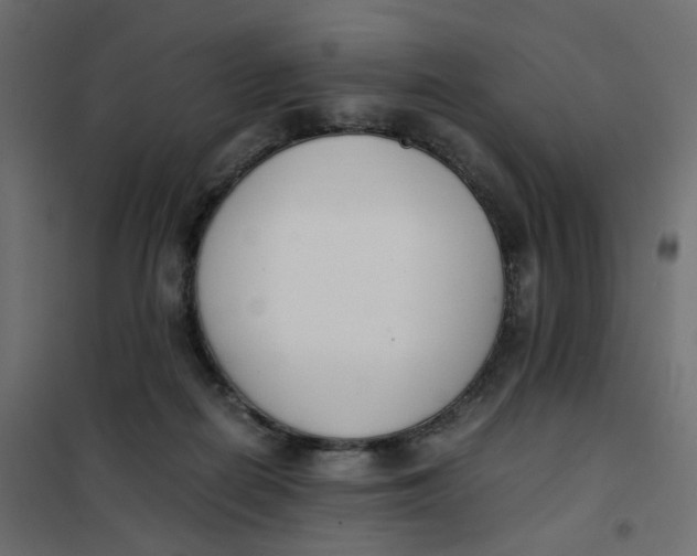 X0000102030266200808081819