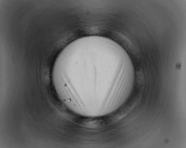 X0000102030267200808081819