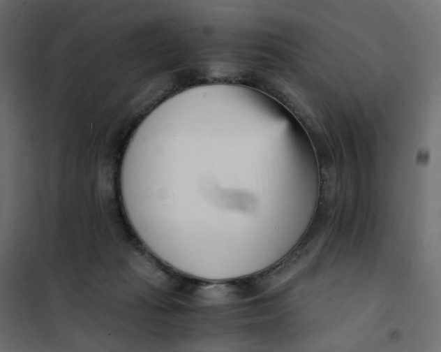 X0000102030269200808081819