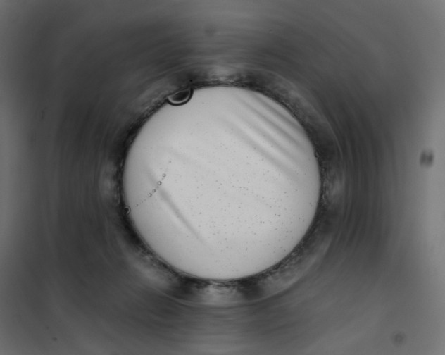 X0000102030270200808081819