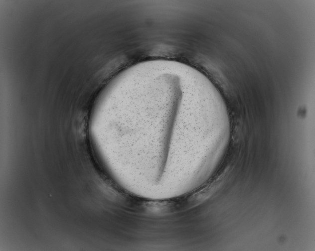 X0000102030273200808081819