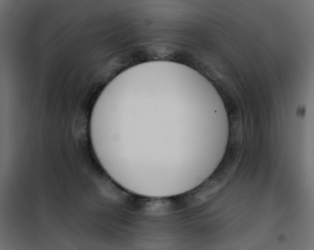 X0000102030274200808081819