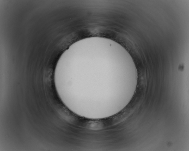 X0000102030275200808081819